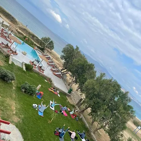 Acti 2*